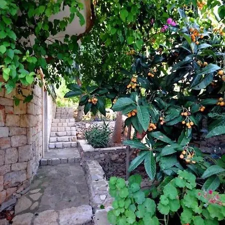 Vila Villam Mavi