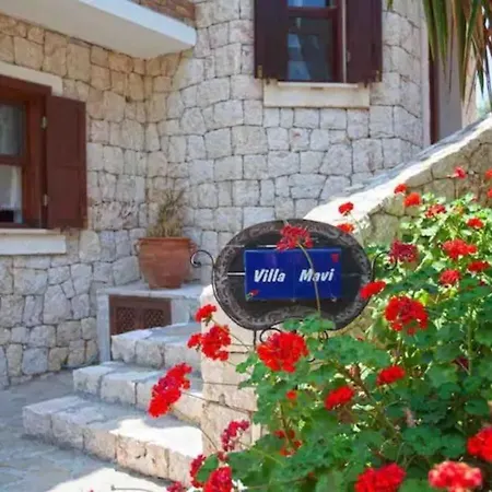 Villa Blue Dream